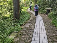 -东天目山风景区