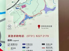-桃花岭景区