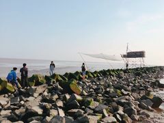 -南汇嘴观海公园