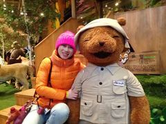 -济州岛泰迪熊博物馆