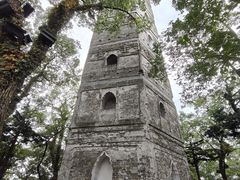 -江心屿景区