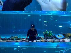 -华夏文旅海洋公园