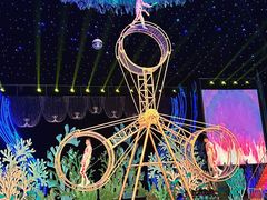 -青岛森林野生动物世界