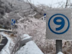 -四明山国家森林公园