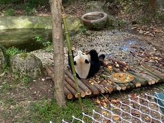 -安吉竹博园