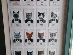 -喵屿·大理花园猫咖