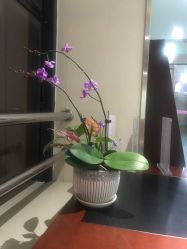 -五洲妇儿医院