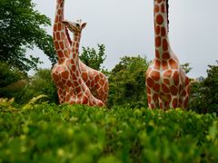 -奉浦四季生态园