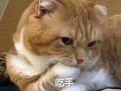 -泰好吃芝士年糕火锅(独墅湖店)