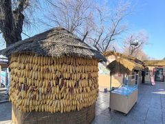 -长春市南湖公园