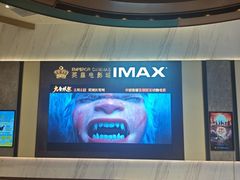 -英皇电影城(平安金融中心IMAX激光店)