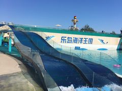 -秦皇岛乐岛海洋王国