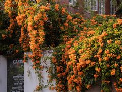 -溪岸路花鸟市场