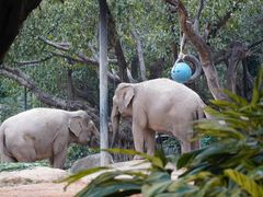 -广州长隆野生动物世界