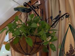 -观盐·盐帮菜(官园桥店)