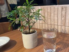 -CURRY YA 熟成咖哩專門店(深圳湾万象城店)