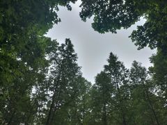 -河南省黄河迎宾馆