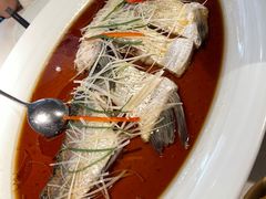 -丹江渔村(望京店)