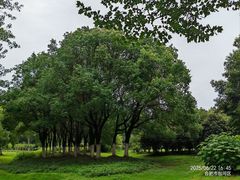 -滨湖塘西河公园