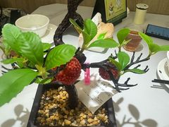 -椿记烧鹅(叠彩店)