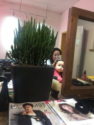 -HAIR PORN STUDIO