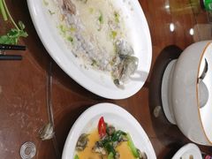-长平肥姐白粥·海鲜打冷