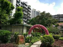 -东风公园