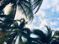 -三亚湾海居铂尔曼度假酒店