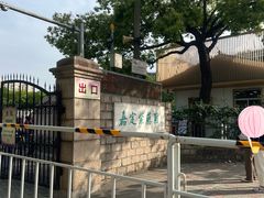 -嘉定紫藤园