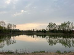 -东郊湿地公园