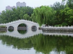 -迎泽公园