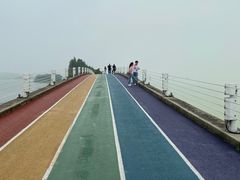 -贡湖湾湿地公园