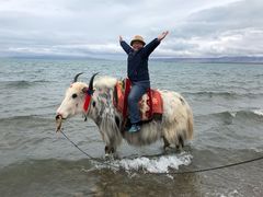 -青海湖国家重点风景名胜区