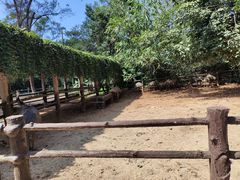 -海南热带野生动植物园