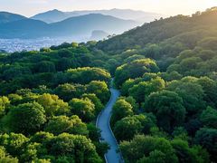 -乌山风景区