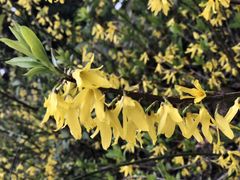 -南京金牛湖风景区