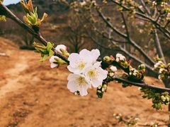 -青岛铁橛山风景区