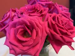 -塞纳河法国餐厅(意式风情街店)