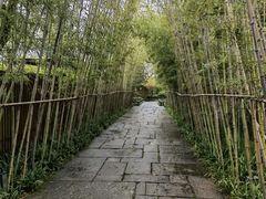 -新荣记(西溪湿地店)