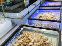 -圣罗巴海鲜自助(黑金店)