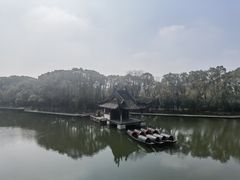-鲁镇