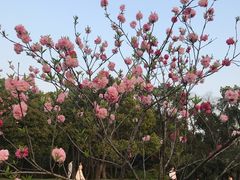 -蜀冈西峰生态公园