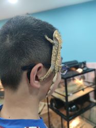 -Moni星球萌宠·小马宝莉·灵蛇·高端高阶全萌宠互动体验俱乐部(红豆国际广场店)