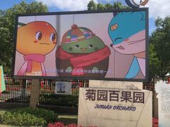 -菊园百果园