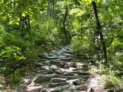 -阳台山自然风景区