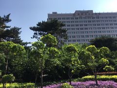 -长春海航长白山宾馆