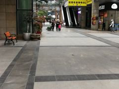 -老凌记广东烧鹅饭(宝利金店)