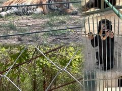 -北京野生动物园