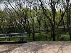 -西湖风景区-江洋畈生态公园