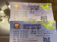 -南京银杏湖乐园
